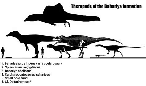 bahariya formation.